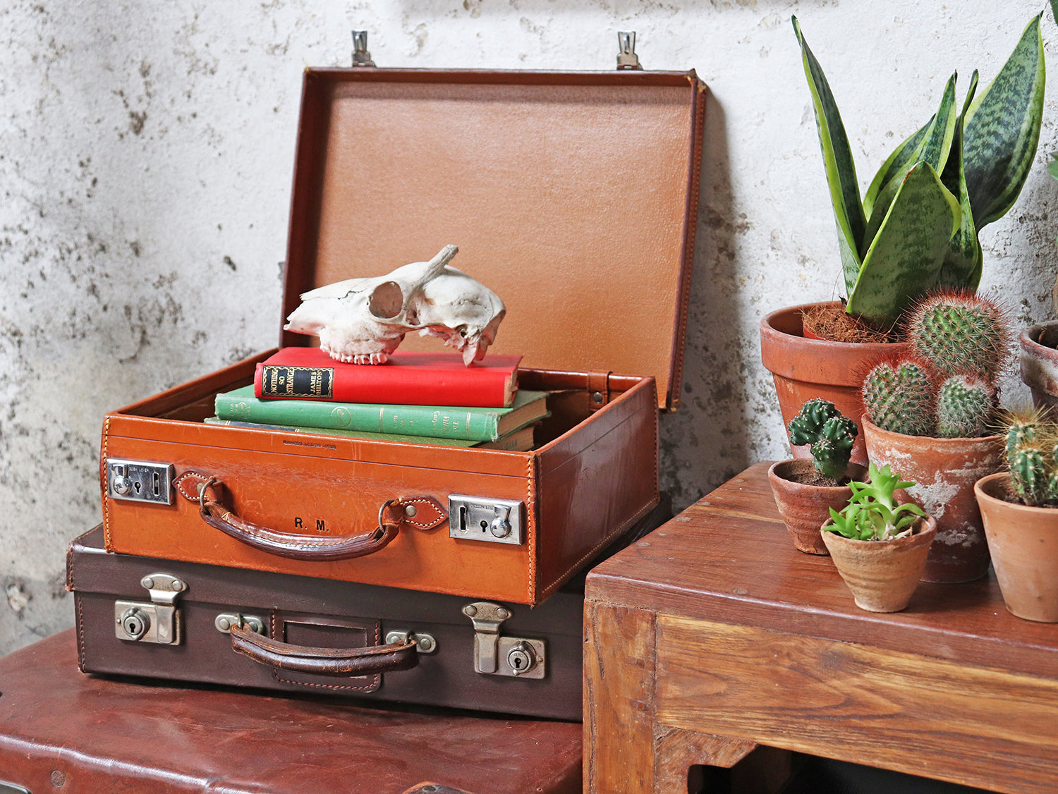 Vintage leather suitcases 